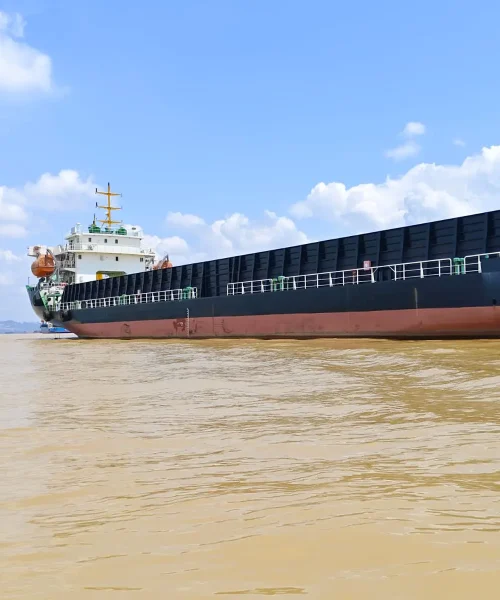 WhatsApp Image 2025-07-05 at 15.40.48